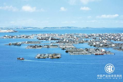 以园区为核心 促进海洋产业集群化发展